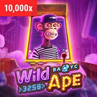 Cookie và công nghệ theo dõi tại king88vina bet